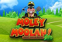 MOLEY MOOLAH